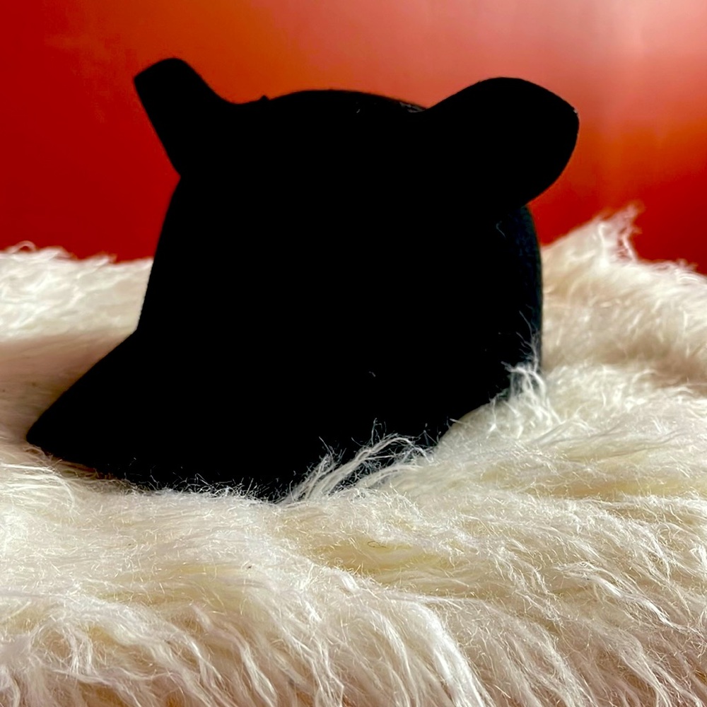 BCBG HAT